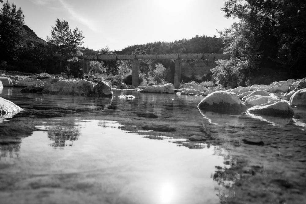 Photograph by Alp Aysgl