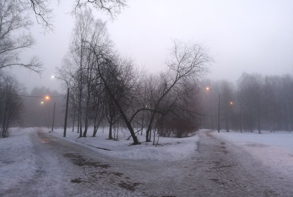 Photograph by Anton  Lavrentiev