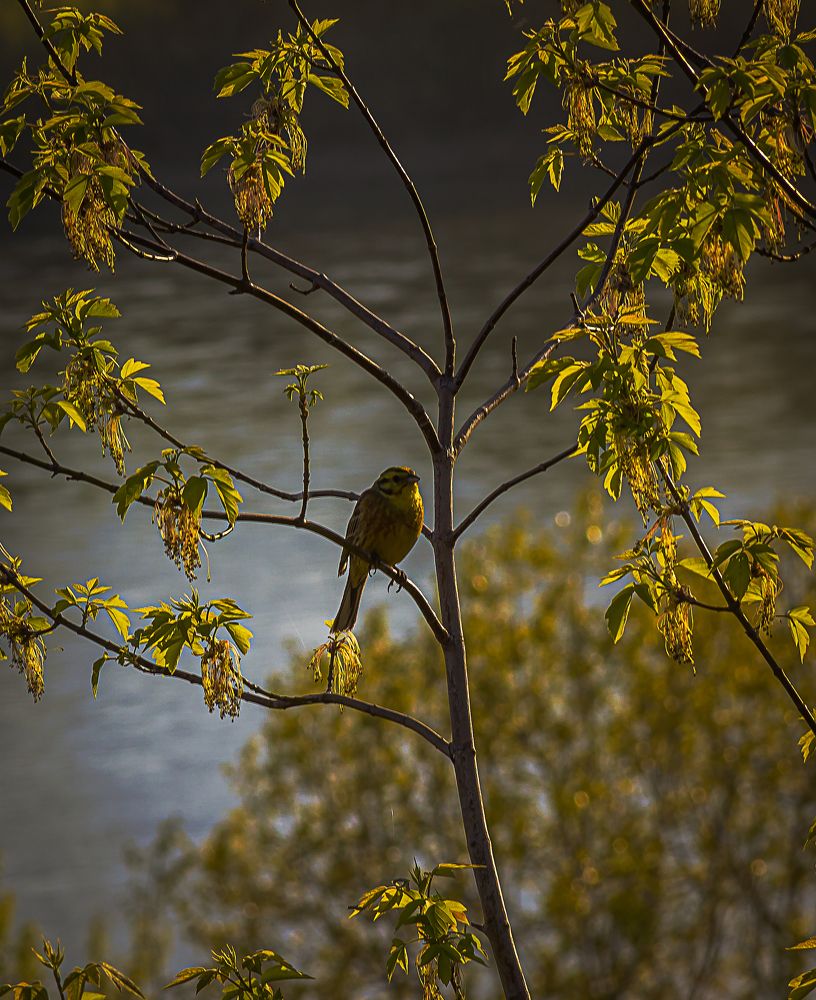 Photograph by Александр Жариков