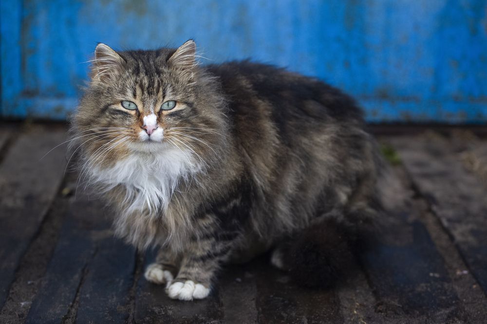 Photograph by Артём Пряхин