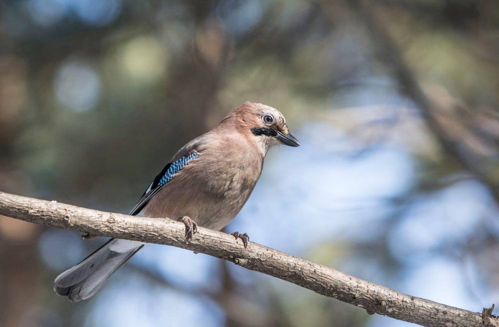 Photograph by Сергей Чупахин