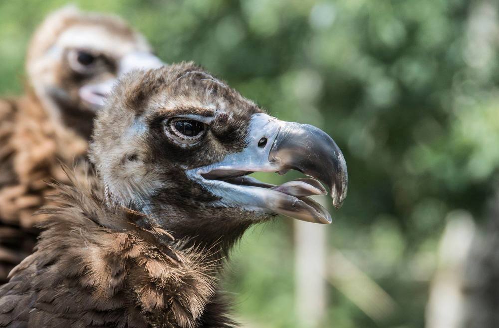 Photograph by Сергей Чупахин