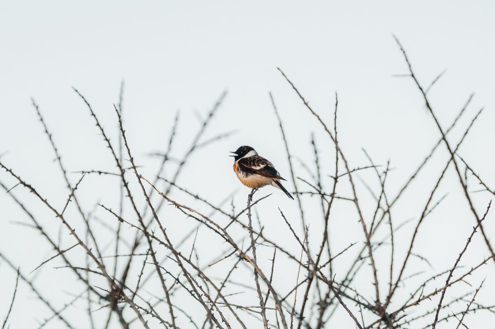 Photograph by Руслан Нигматуллин