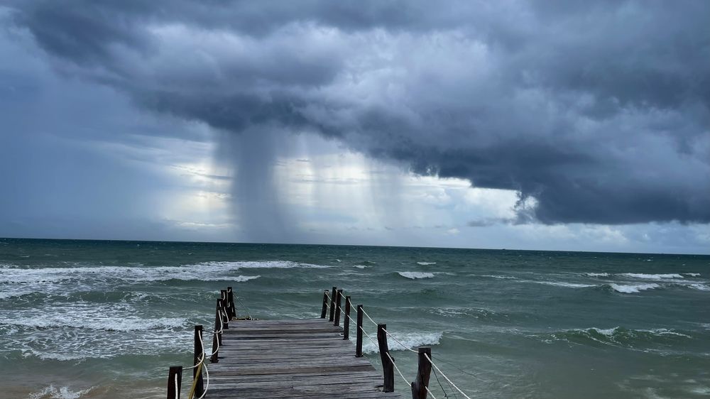 Photograph by long dương