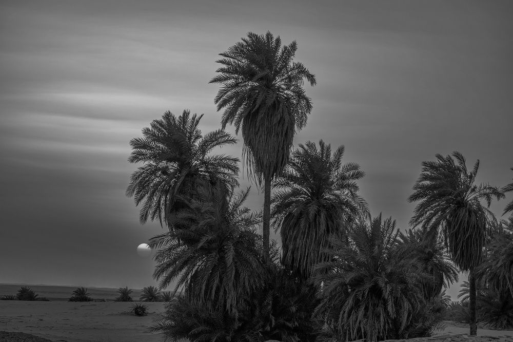 Photograph by abdallah khalili