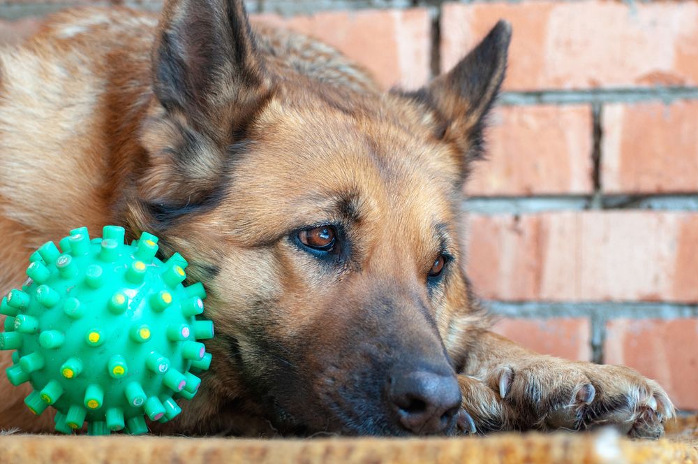 Фотография автора Людмила Прокофьева