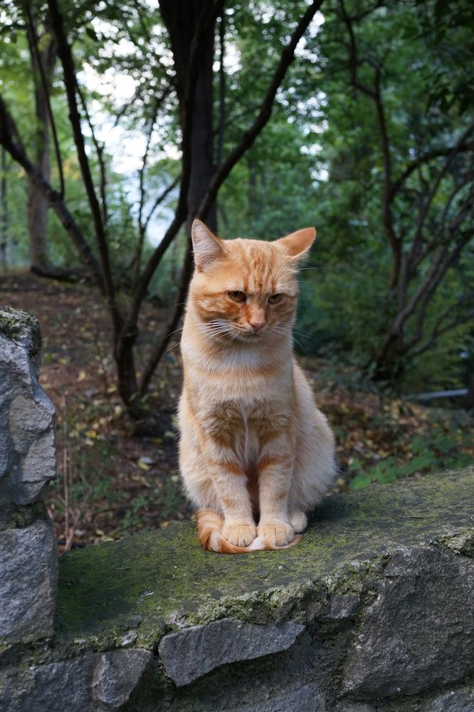 Photograph by Василий Селиванов