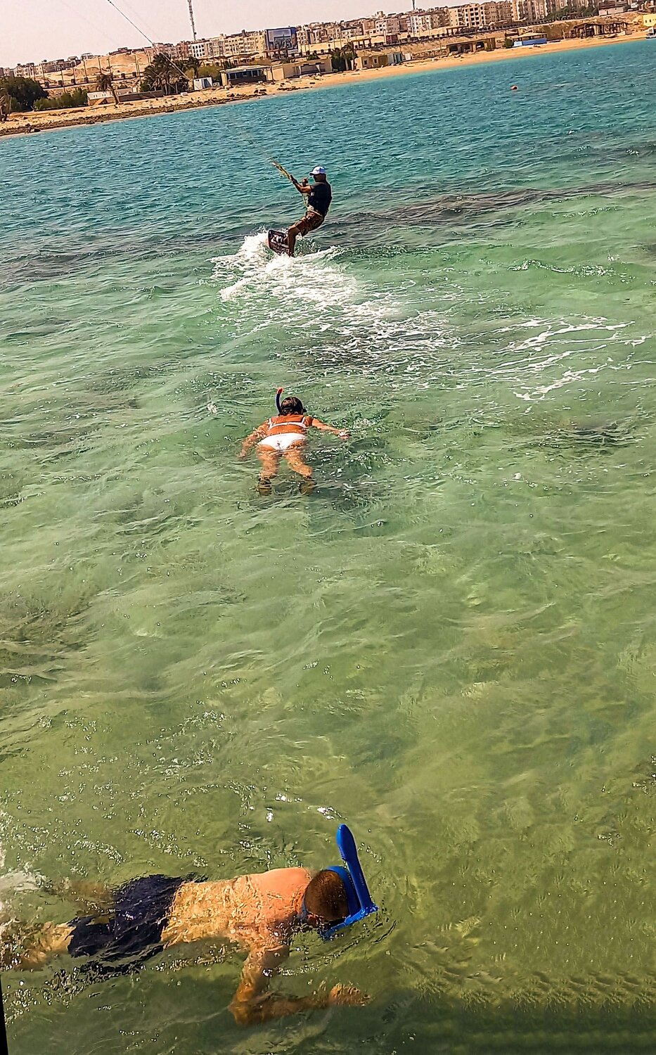 Photo #7639399