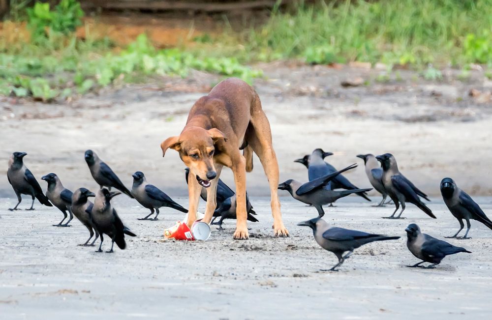 Фотография автора Людмила Прокофьева