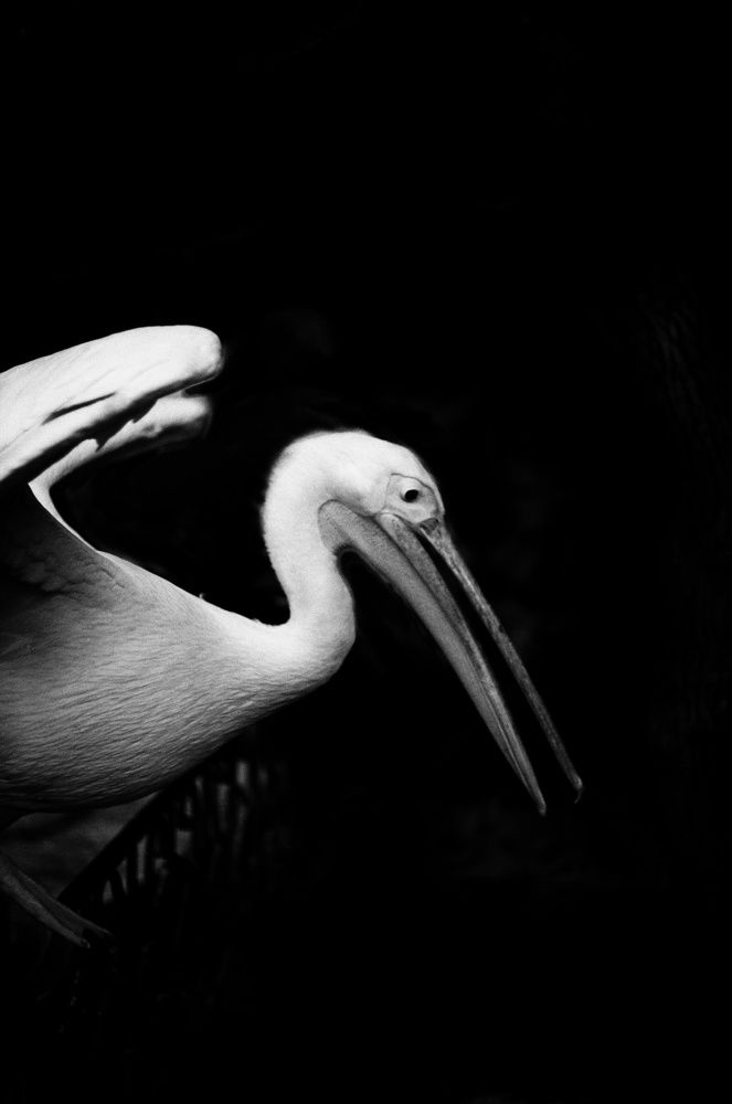 Photograph by Василий Селиванов