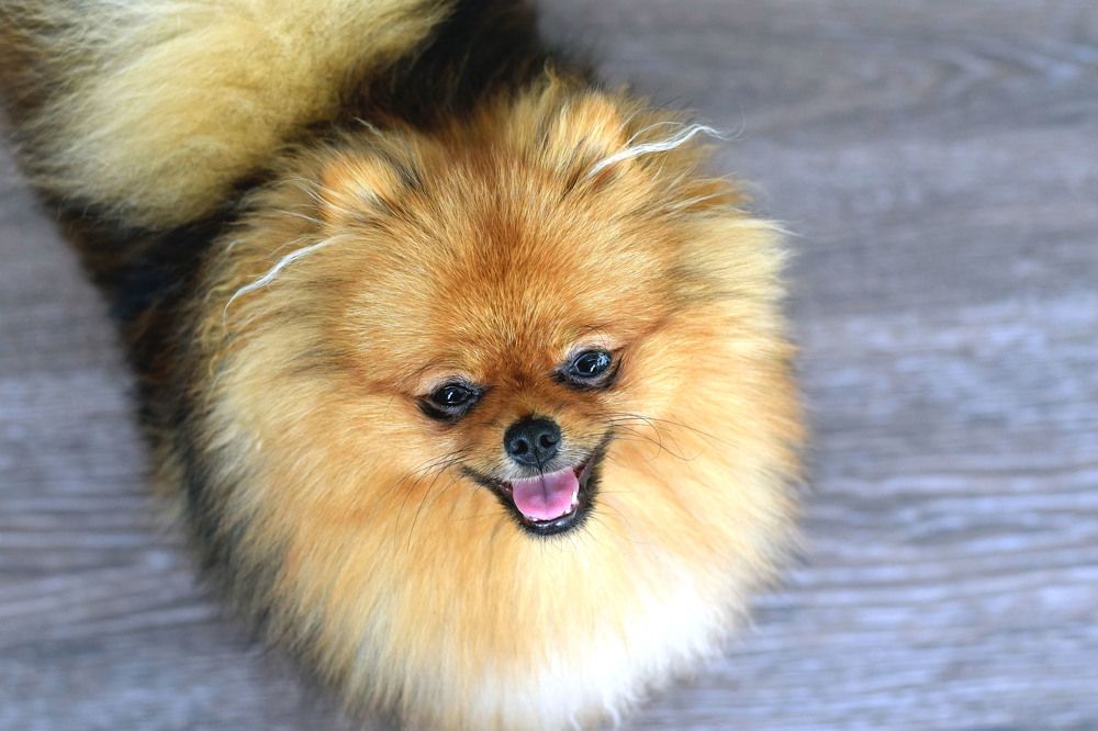 Photograph by Алевтина Орлова