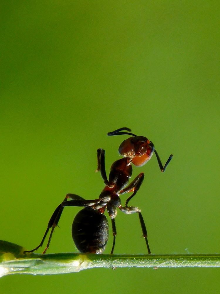 Photograph by Сергей Чеченов