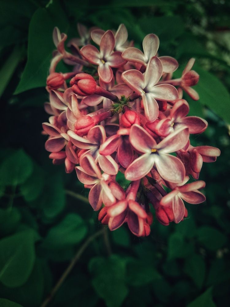 Photograph by Татьяна Смирнова