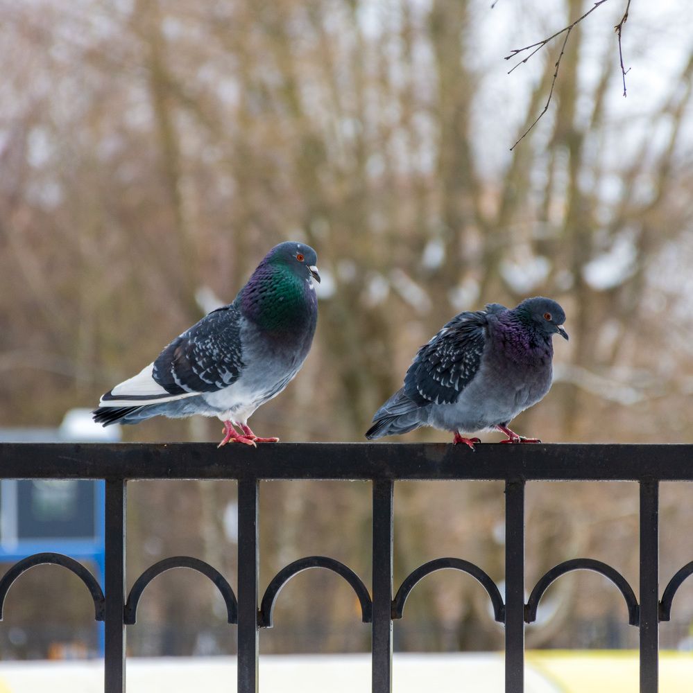 Photograph by Валерий Петухов