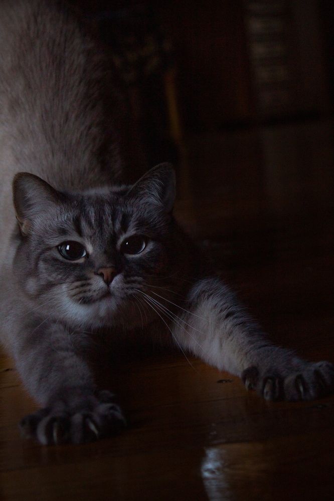 Злая Матильда