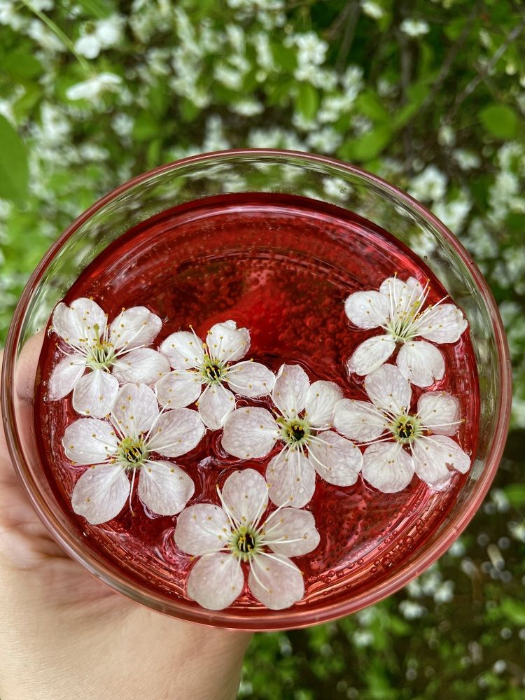 Photograph by Полина Зенькович