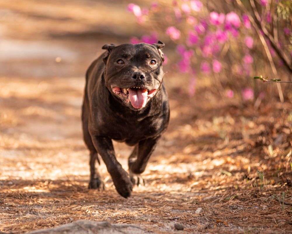 Photograph by Виктория