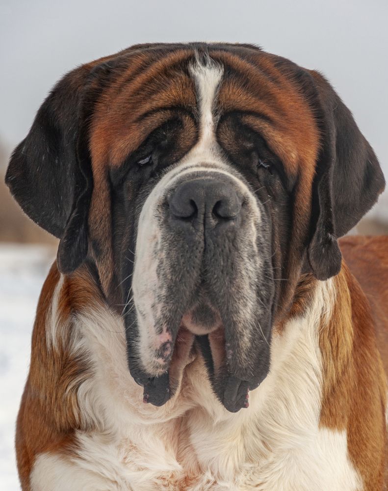 Photograph by Виктория