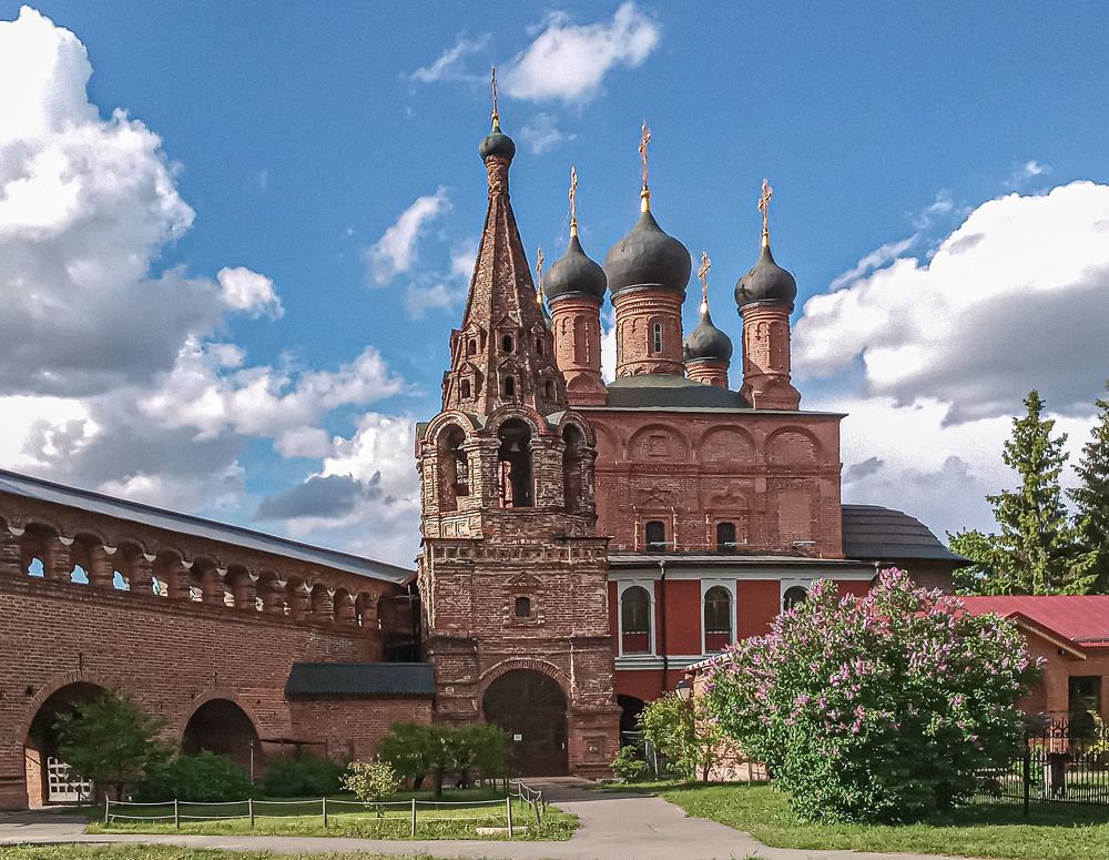 Photograph by Vladimir  Komarov