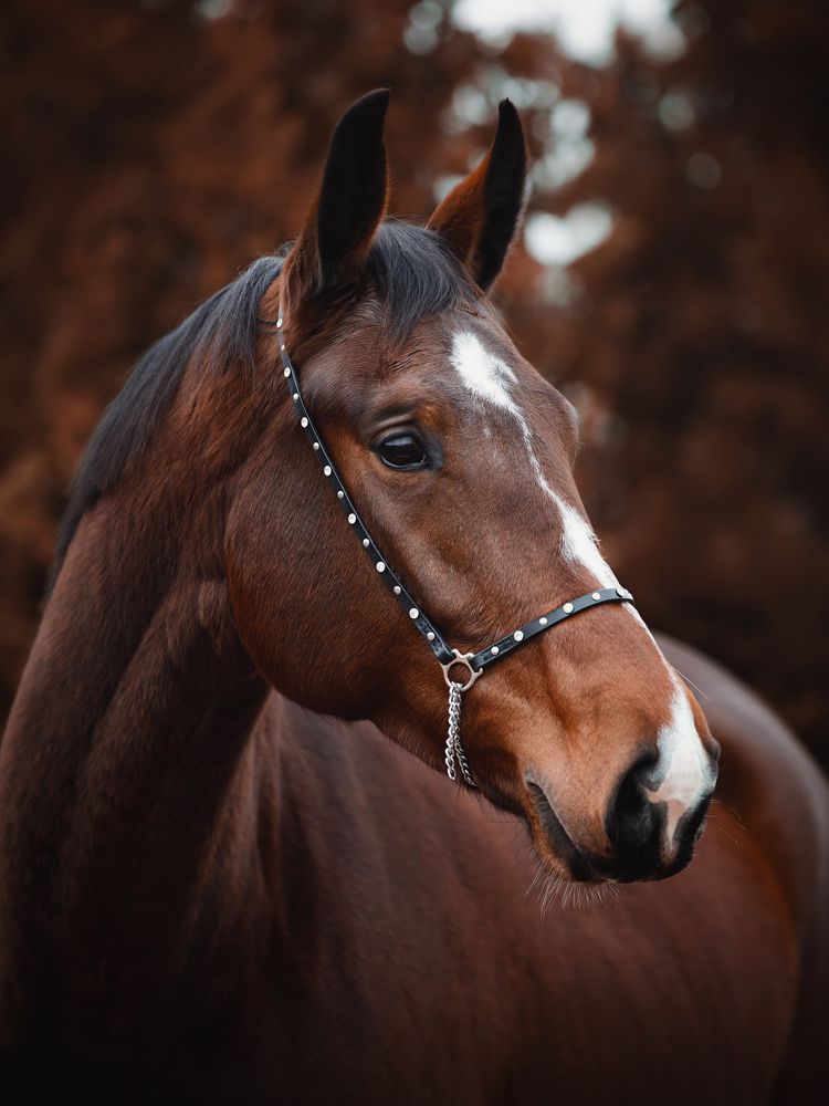 Photograph by Владислава Протащик