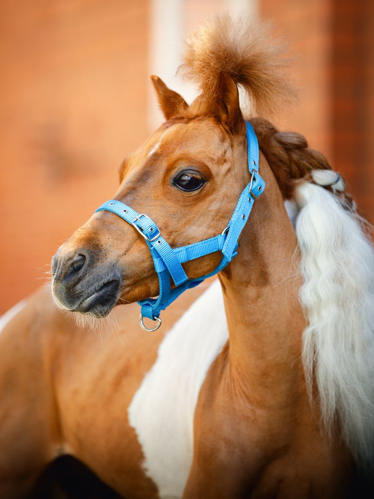 Photograph by Владислава Протащик