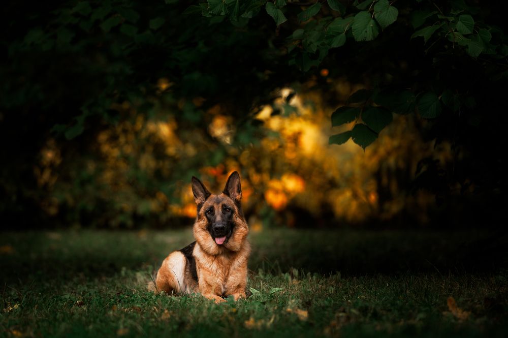 Photograph by Анна Титова