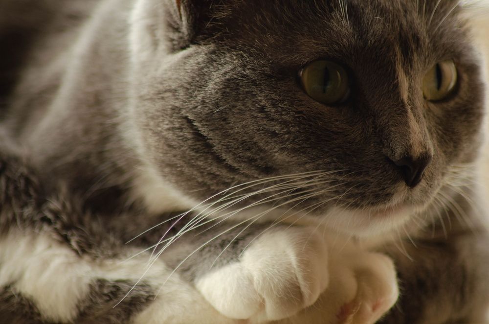 Photograph by Сергей Григоров