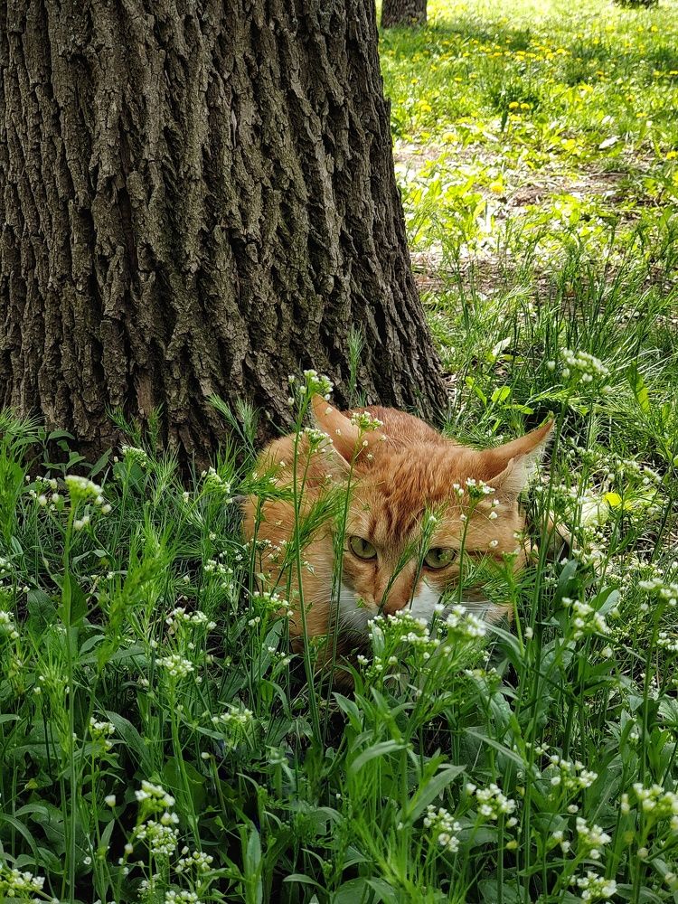 Фотография автора Ольга Игуменова