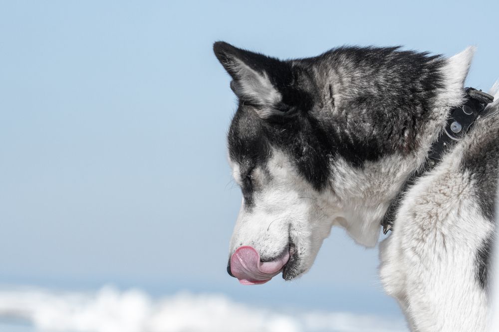 Photograph by Юлия Тельпова