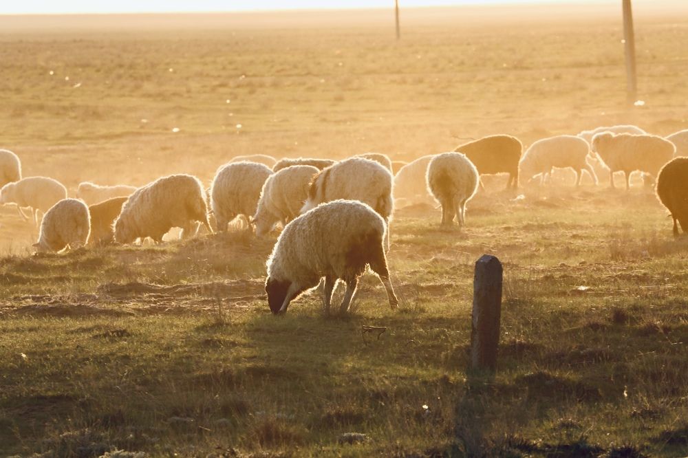 Photograph by Ольга Одаренко
