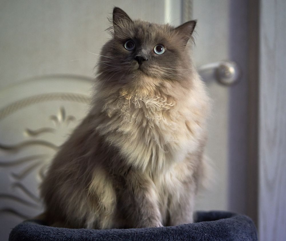 Photograph by Anton  Lavrentiev