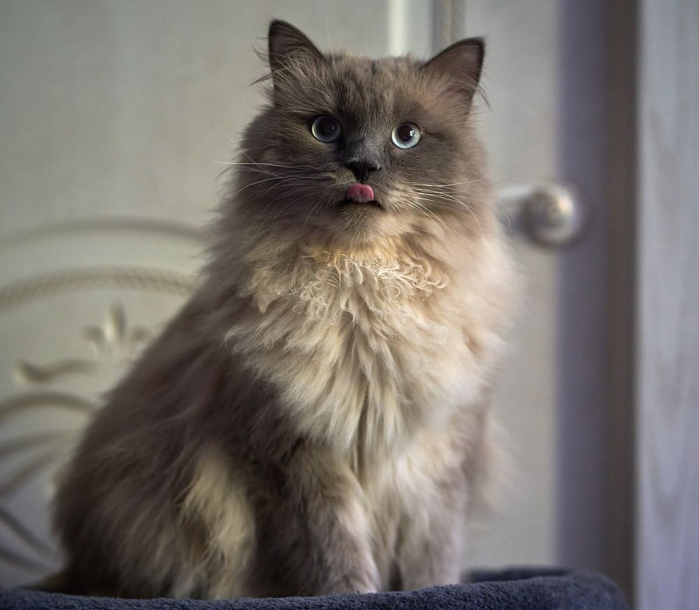 Photograph by Anton  Lavrentiev