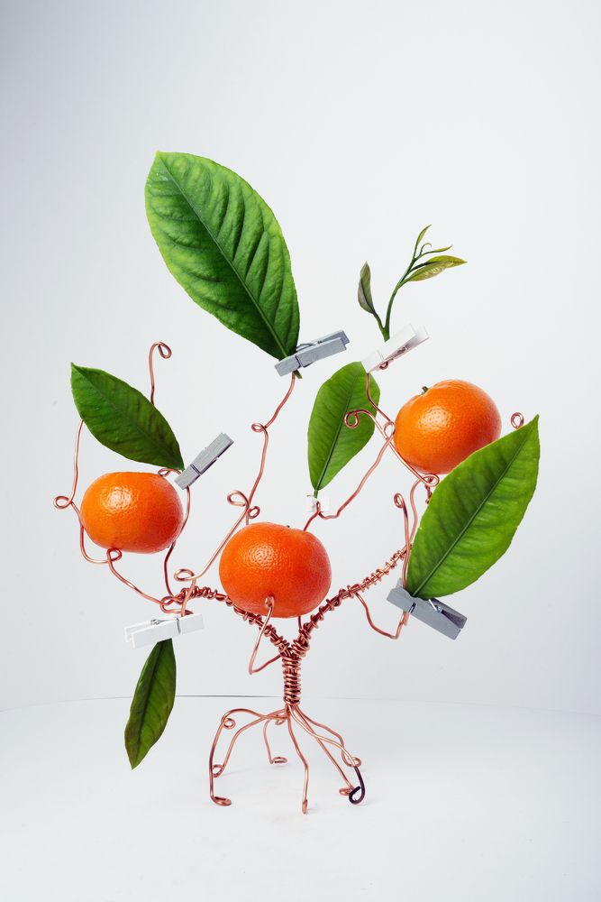 Photograph by Ангела Честнова