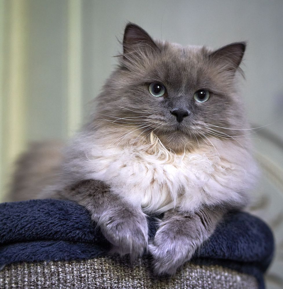 Photograph by Anton  Lavrentiev