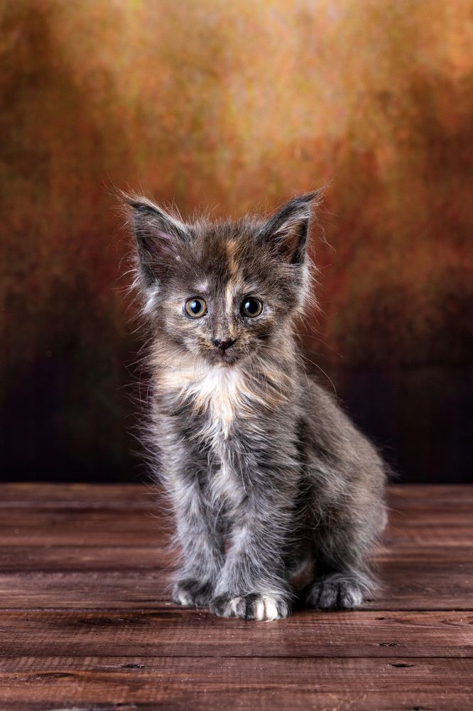 Photograph by Ирина Бобрешова