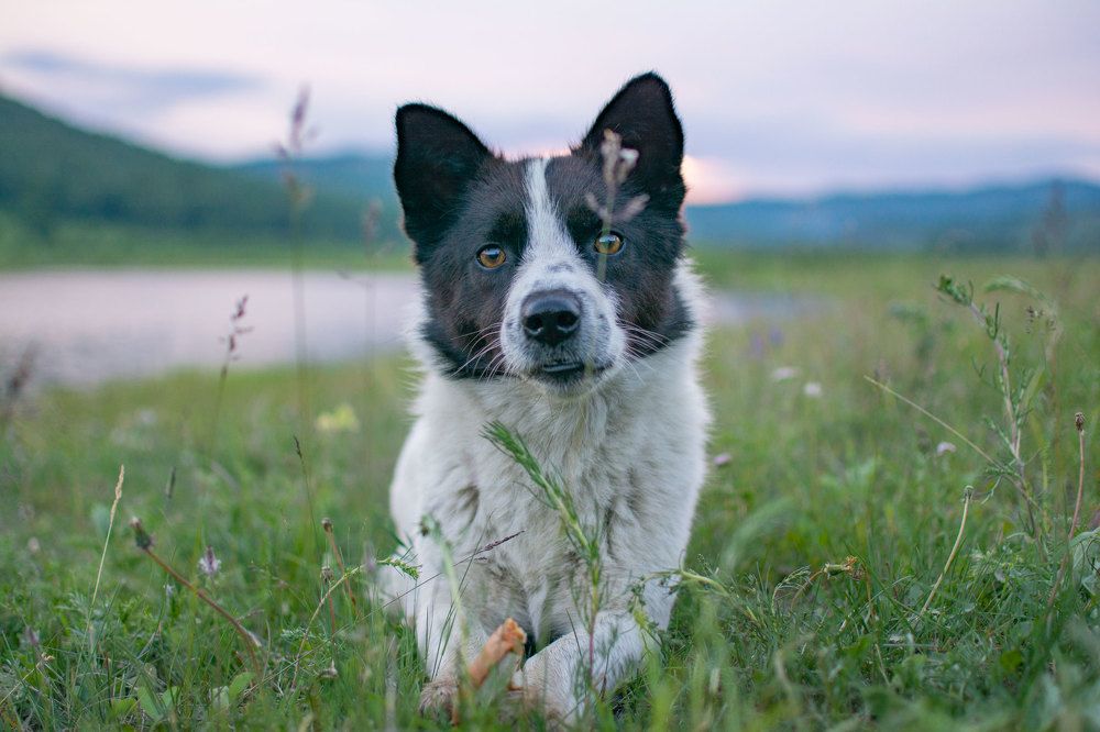 Photograph by Надежда Преминина