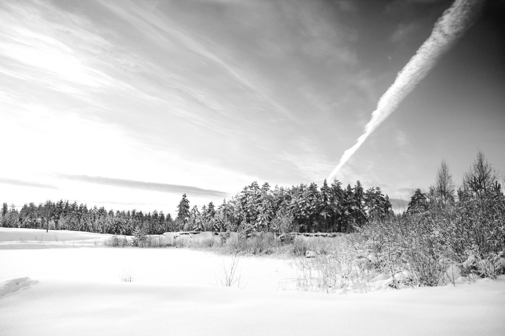 Фотография автора Татьяна Степанова