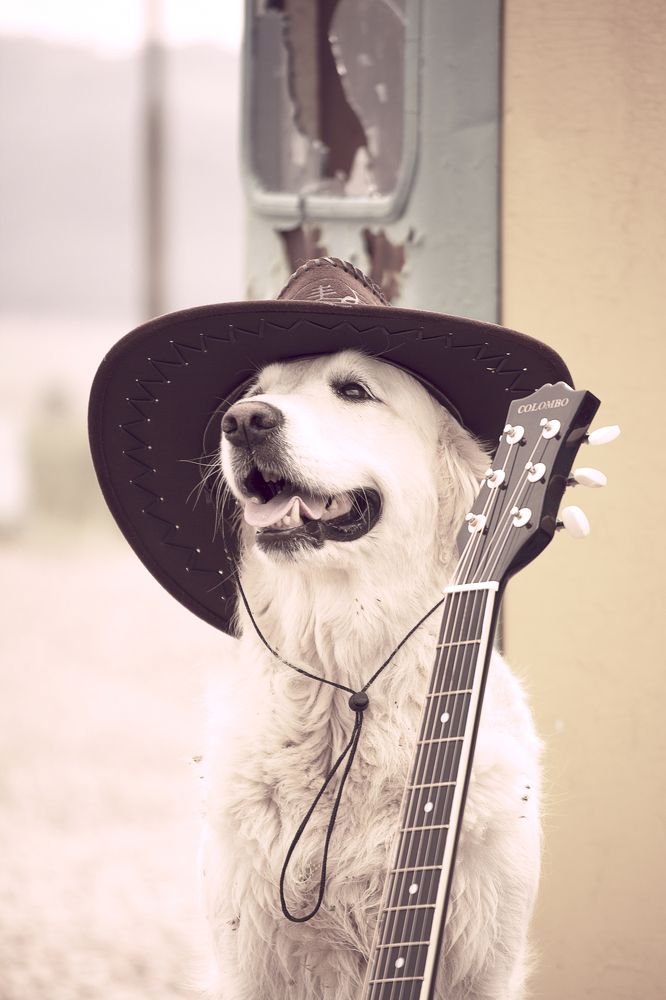 Photograph by Надежда Преминина