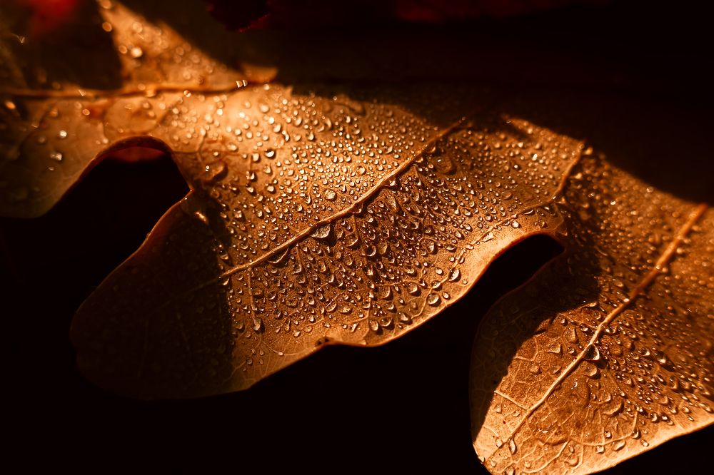 Photograph by Александр Слепцов