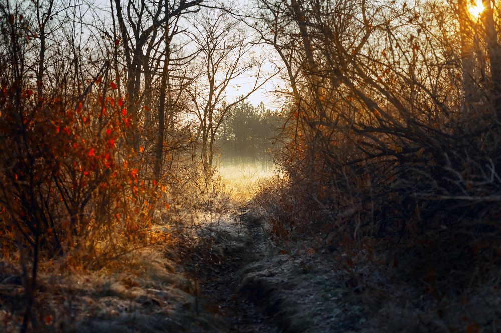 Photograph by Александр Слепцов