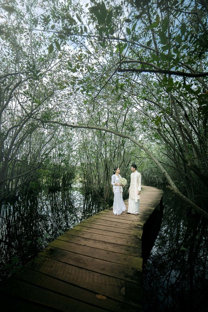 Photograph by Sameera Madusanka