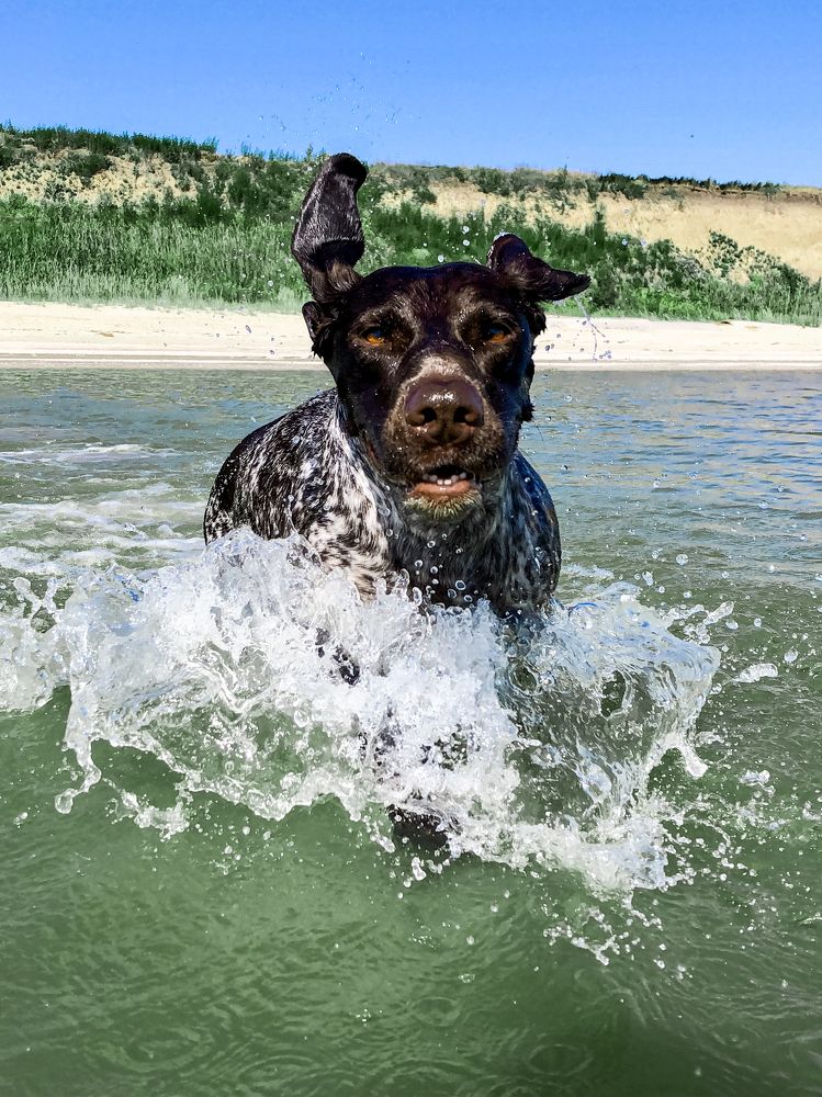 Photograph by Анастасия Волошина