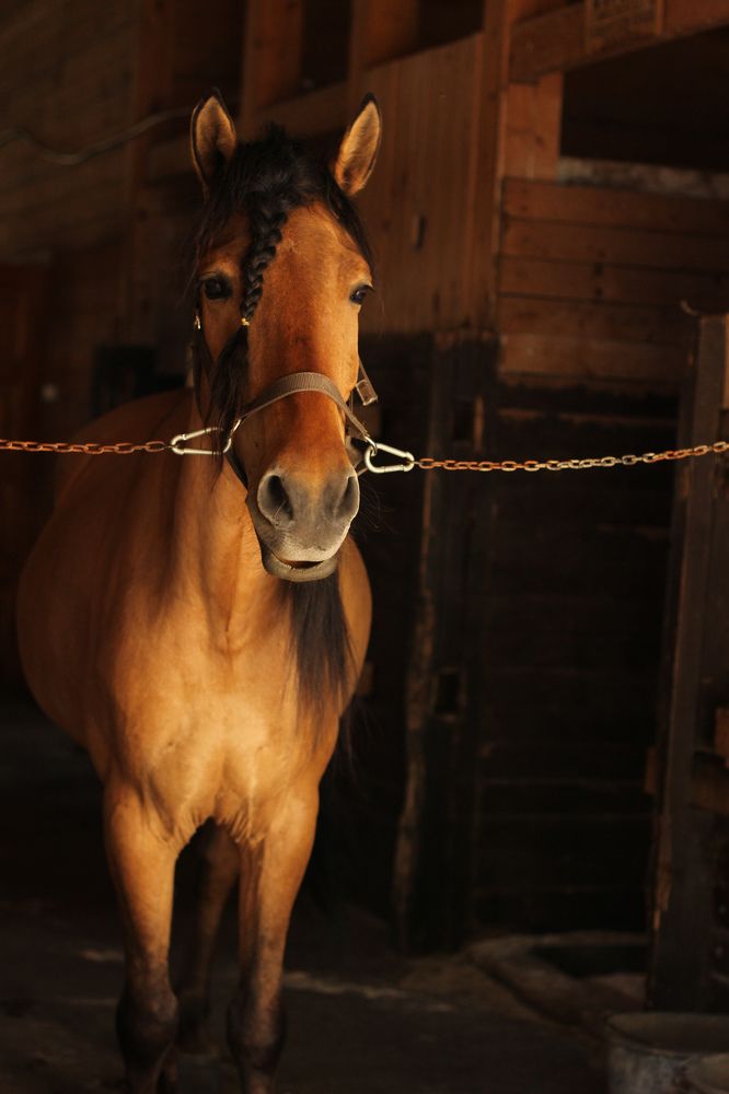 Photograph by Алеся Маклакова