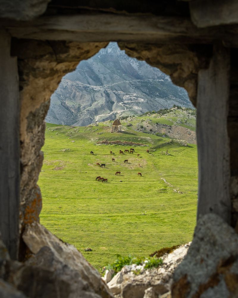 Фотография автора Олег Кожухов