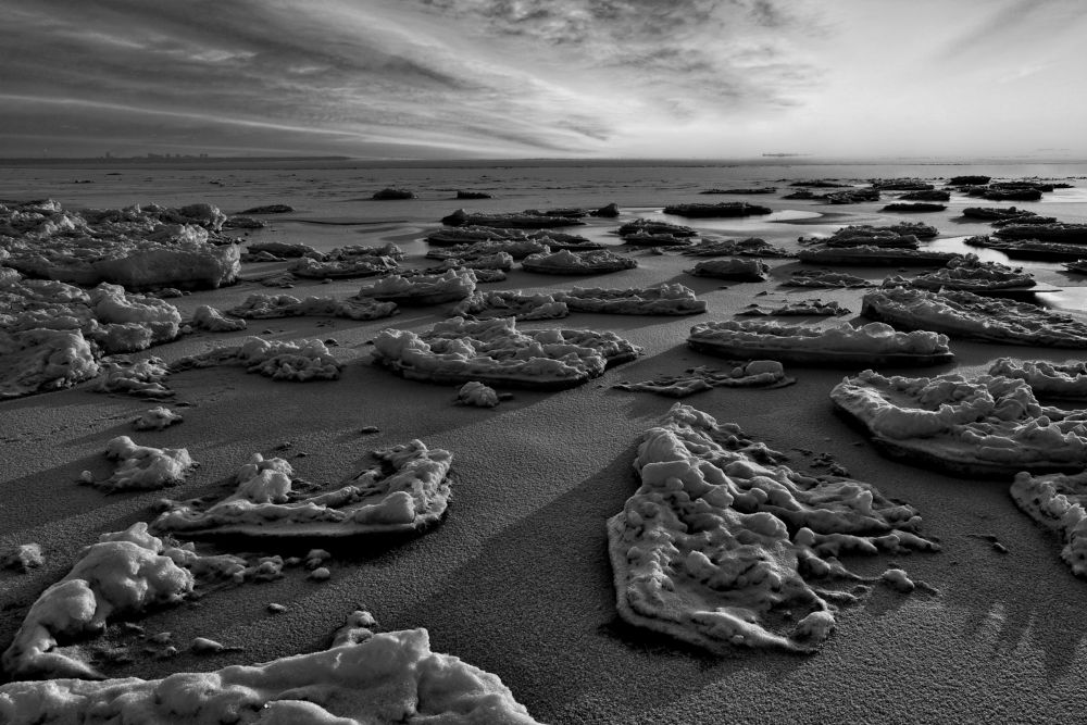 Зимний Комаровский берег