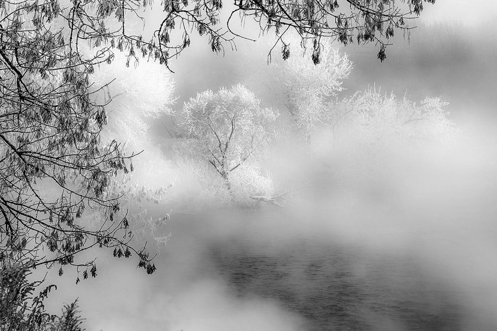 Фотография автора Анатолий Зверев