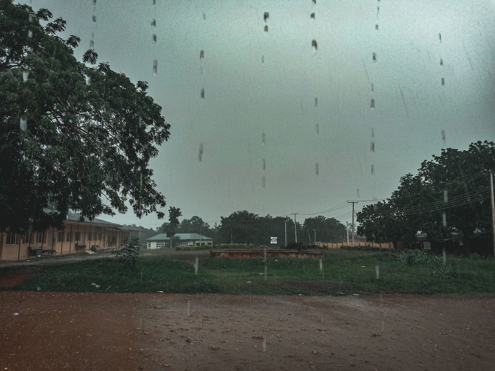 Photo #7640070