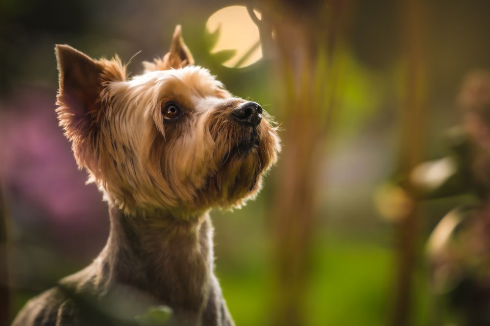 Photograph by Agnieszka Wieczorek