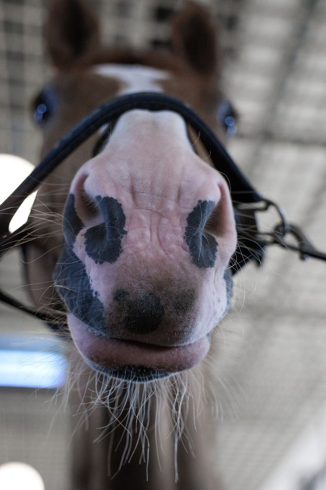 Photograph by Екатерина Кицмен