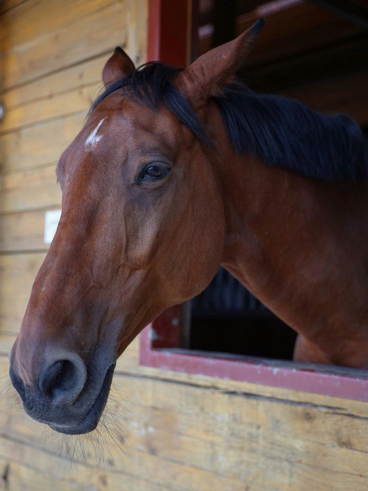 Photograph by Екатерина Кицмен